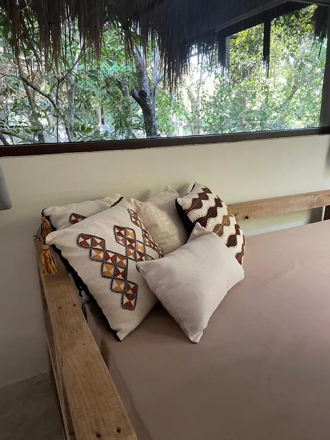 ****  Hotel Roc Jungle Tulum Mexique