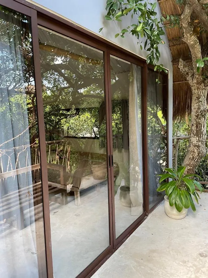 Hotel Roc Jungle Tulum 4*,