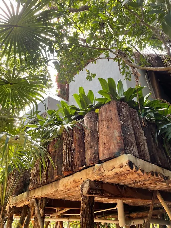 Hotel Roc Jungle Tulum