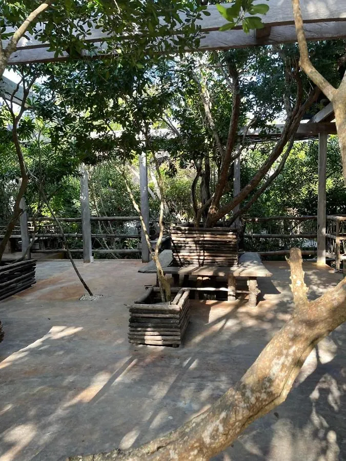 Hotel Roc Jungle Tulum 4*,  Mexique