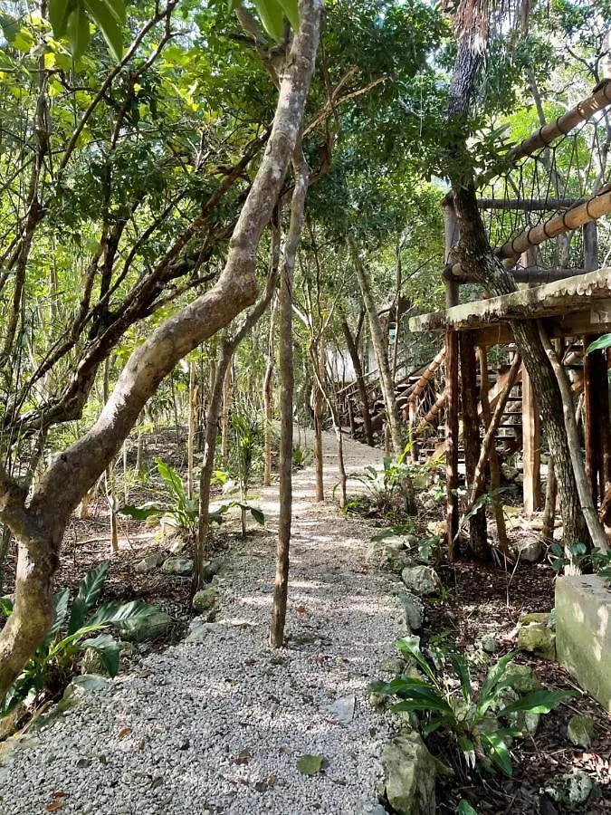 Roc Jungle Tulum Hotel