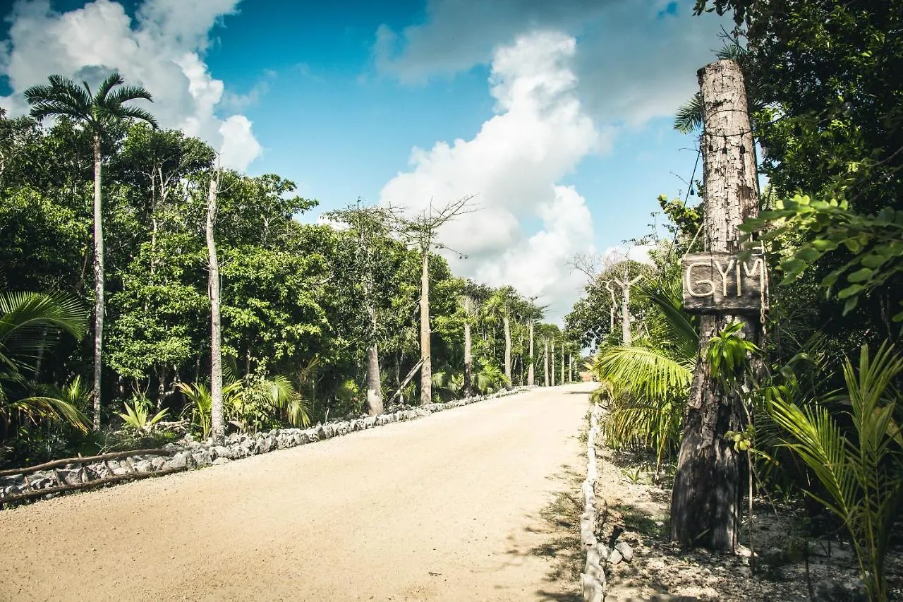Roc Jungle Tulum Hotel 4*,