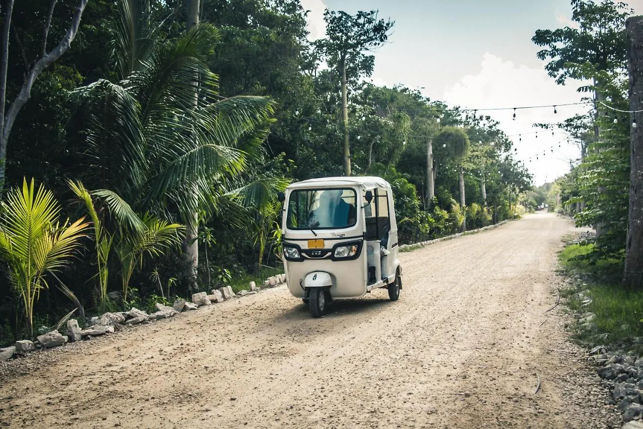 Roc Jungle Tulum Hotel