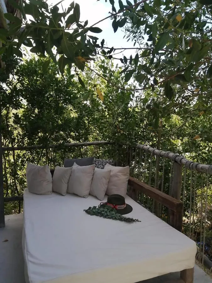 Roc Jungle Tulum Hotel